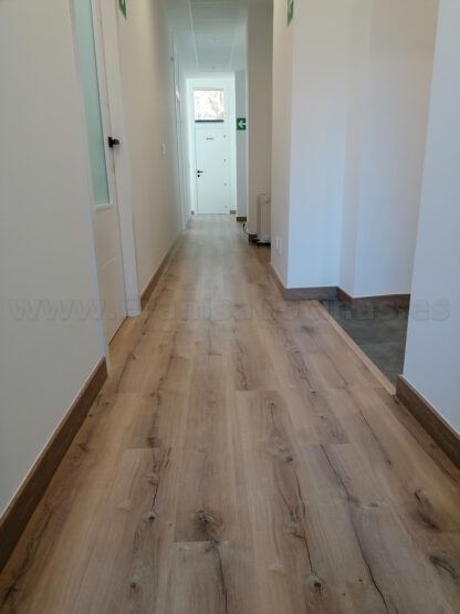 Clínica Fisioterapia Ana Cartón (Valladolid) - Imagen 81