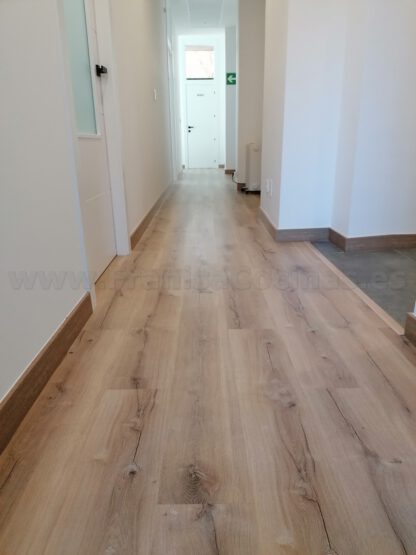 Clínica Fisioterapia Ana Cartón (Valladolid) - Imagen 80