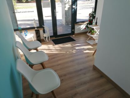 Clínica Fisioterapia Ana Cartón (Valladolid) - Imagen 48