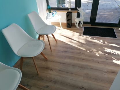 Clínica Fisioterapia Ana Cartón (Valladolid) - Imagen 47
