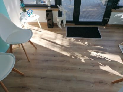 Clínica Fisioterapia Ana Cartón (Valladolid) - Imagen 45